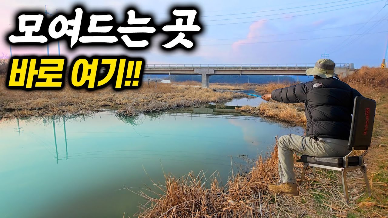 다리 밑 수로에 몰려 들고 있다.2박3일 차박여행