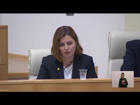 თუ ქვეყნაში სამართალი არ იქნება, ვერ იქნება მშვიდობა - ანა ნაცვლიშვილი