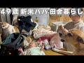 家事育児犬猫の世話に追われる幸せな日々ルーティン【４９歳新米パパ田舎暮らしVLOG】