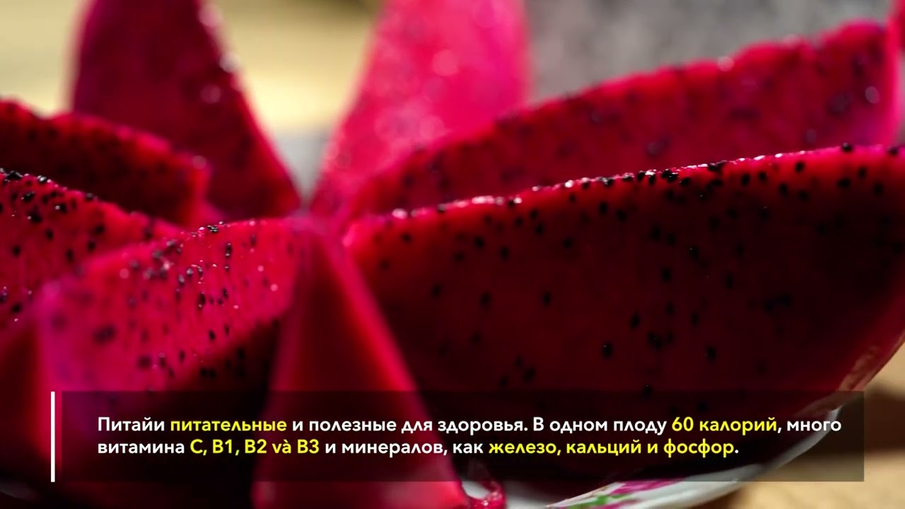 Географические указания: Питайя из провинции Бинь Тхуан