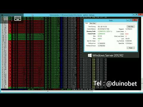 🎲WOLF | penghasil uang crypto dengan script python dan dicebot #dicebot #wolf