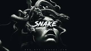 HARD BOUNCY RAP type beat SNAKE | FREE Trap Instrumental 2025 | Rap/Trap Beat