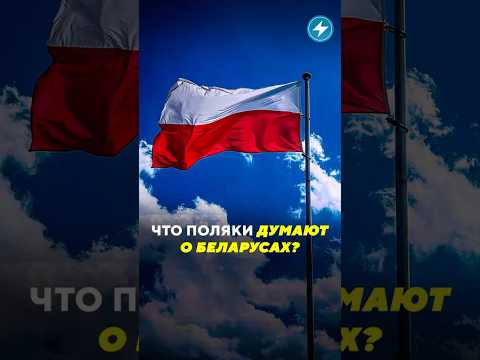 Что поляки думают о беларусах? / Новости #польша #поляки #мнение #беларусы #новостибеларуси