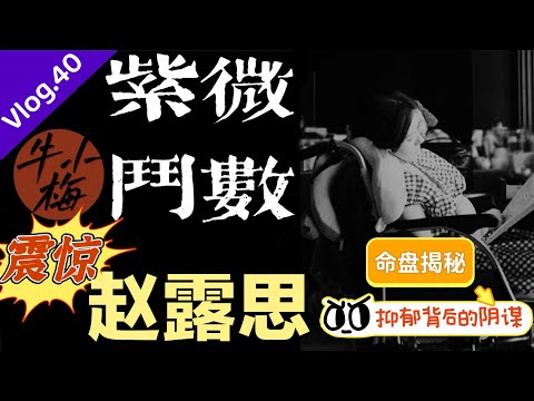 玄学揭秘：赵露思抑郁症的背后，是命运安排还是不可告人的阴谋？丨#紫微斗数 #紫微斗数明星#赵露思#玄学