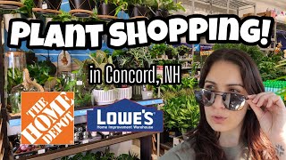 Looking for New Plants!! 🌿 Home Depot & Lowe's Plant Shopping in Concord, NH