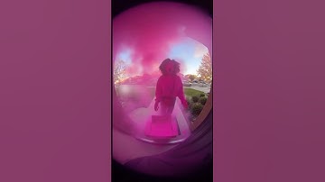 Dief probeerde... mislukt. #RingDoorbell #PakketDiefMislukt #VerfExplosie #GrappigeMislukkingen