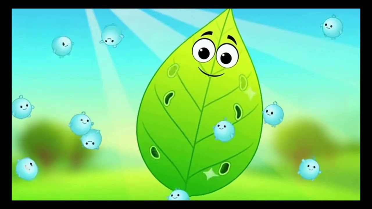 Фотосинтез для детей в классе. Что такое фотосинтез? Как растения производят свою собственную пищу.