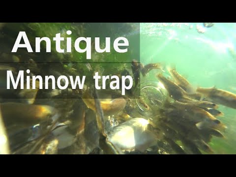 Amazing fish trap, many fish <strong>come</strong> in.