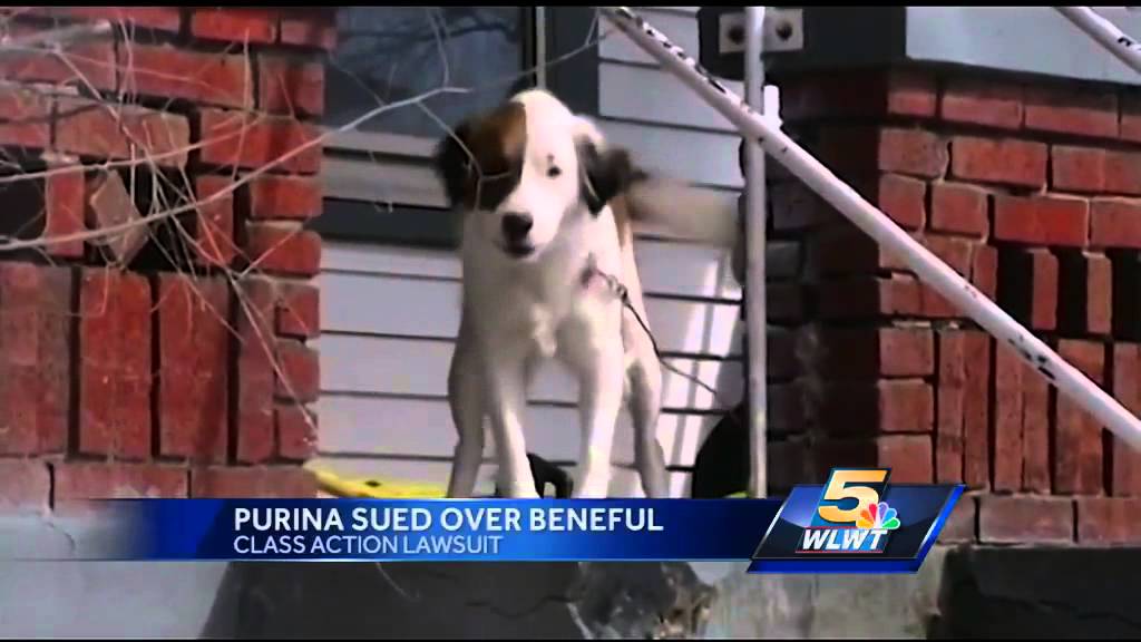 Class action lawsuit claims Purina Beneful sickening, killing dogs