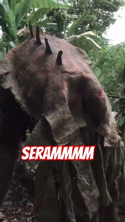 Horror Hantu kebun pisang (jurig jarian)   #creepy