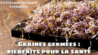 🌱Les graines germées faciles à faire chez soi dans un sac en toile &  recette de salade de lentilles germées - Crusine Académie