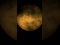 RAW:○●°•▪︎□■◇ SSUUNN 6-17-2026 #fredleemh #space #sky