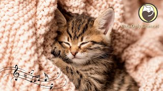 Cat Music - Soothing Harp Music for Anxious Cats (with cat purring sounds)