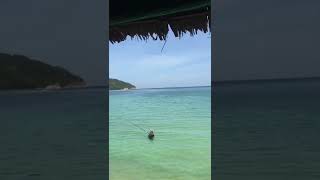 Breakfast in Chaloklum Bay as squid fishermen work during high tide