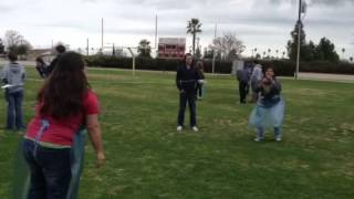 Physics Egg toss