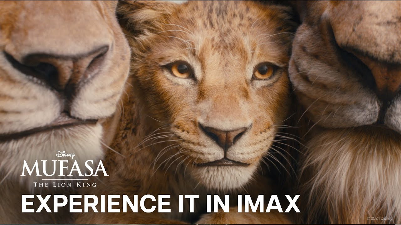Experience It in Imax