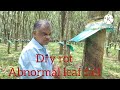 (part-23)മഴക്കാല രോഗങ്ങളും, പ്രതിവിധിയും റബ്ബർതോട്ടത്തിൽ