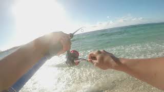 Mauritius amateur shore casting with Soft and Samurai lures screenshot 3