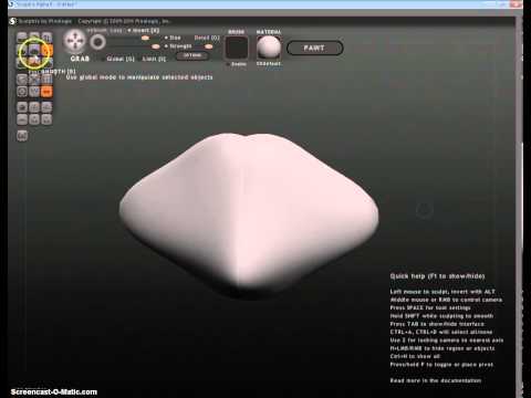 Very Basic Sculptris How To