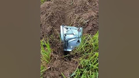 Gopher removal Cinch trap