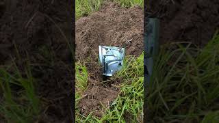 Gopher removal Cinch trap