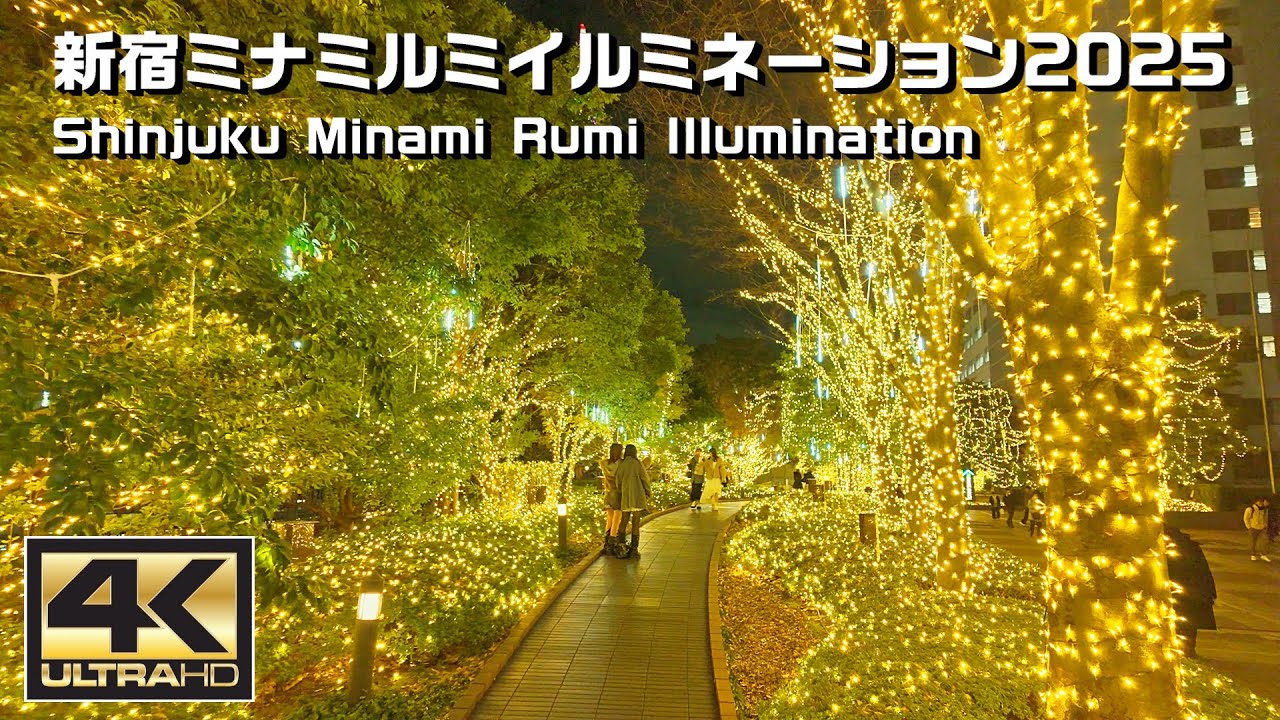 新宿ミナミルミイルミネーション