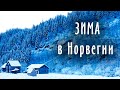 Первая зима новичков в Норвегии. Наша жизнь в доме в Норвегии