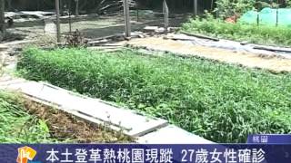 桃園有線新聞20150814-本土登革熱桃園現蹤 27歲女性確診