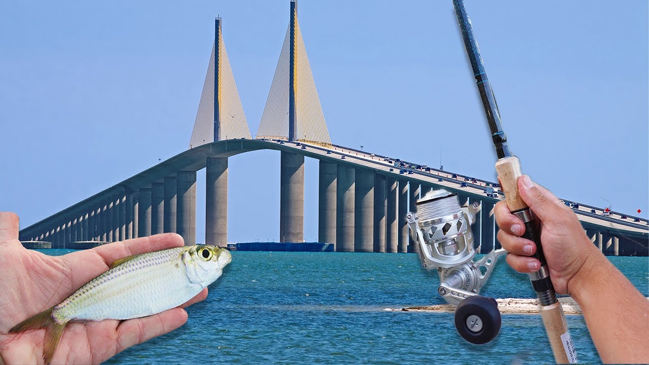 How I Find New Fishing Spots In Tampa Bay!