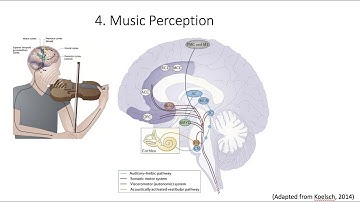 5.5. Music Perception, Fundamentals of Cognitive Neuroscience Course, Session 5, Part 5