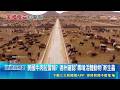 超噁! 美國德州驚現"新世界螺旋蠅" 60年頭一遭 美國牛肉拉警報? 德州確認"專啃活體動物"寄生蟲 業者憂疫情擴大 美國牛肉出口恐再遭重創｜三立新聞LIVE