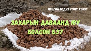 Download lagu АМЬД ГЭЖ ИТГҮҮЛЭХИЙГ ОРОЛДОЖ БАЙСАН | МОНГОЛ БОДИТ ГЭМТ ХЭРЭГ
