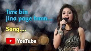 TERE BIN JINA PAYE HAM || SUNIDHI CHAUHAN SONG || NEW SONG 2025 || LOFI SONG || @tseries