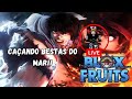 LIVE!! CAÇANDO MUITOS SEAS BESTS!! (ao vivo [ roblox ] (blox fruits)