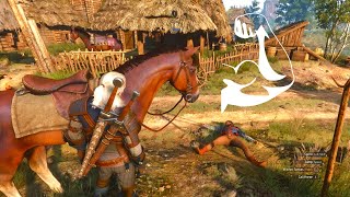 Roach takes care of three troublemakers l The Witcher 3 Next-Gen Update Wealth
