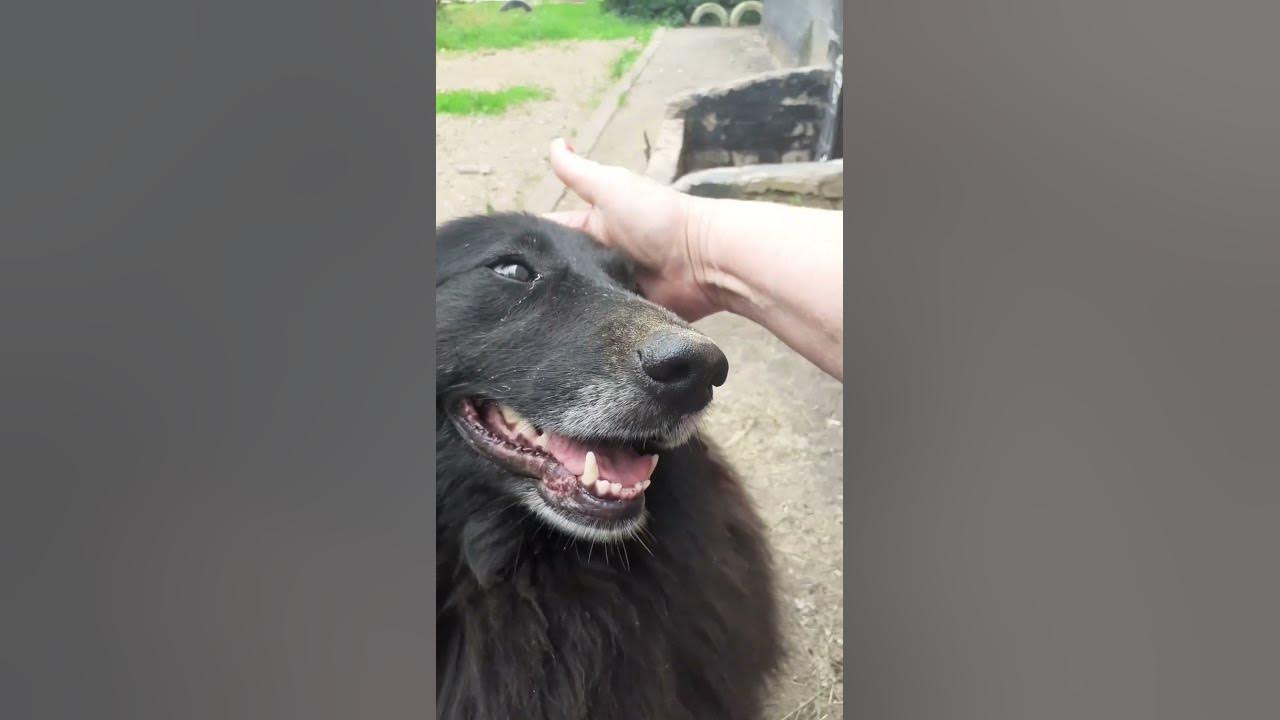 Улыбка "Джоконды" 😀🤣 - YouTube