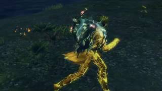 [GW2] The Wayfarer's Henge effects