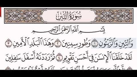 سورة التين الشيخ مشاري بن راشد العفاسي من مصحف آيات