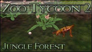 World Zoo! Crafty Chameleon Eggs! - Episode #42