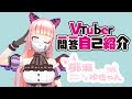 【自己紹介】VTuber一問一答【REALITY VTuber】 \#VTuber一問一答自己紹介