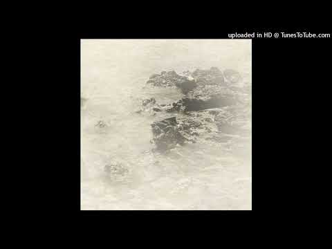 Coral Sea — Colour and Line