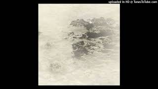 Coral Sea — Colour and Line