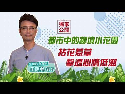 綠手指抗憂鬱! 王明勇教你拈花惹草 擊退心情低潮 #健康1念間 EP3 #王明勇 #憂鬱症 #綠手指 #情緒毒 #獨家公開