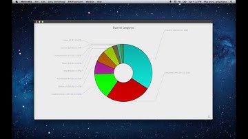 Introducing MoneyWiz for Mac