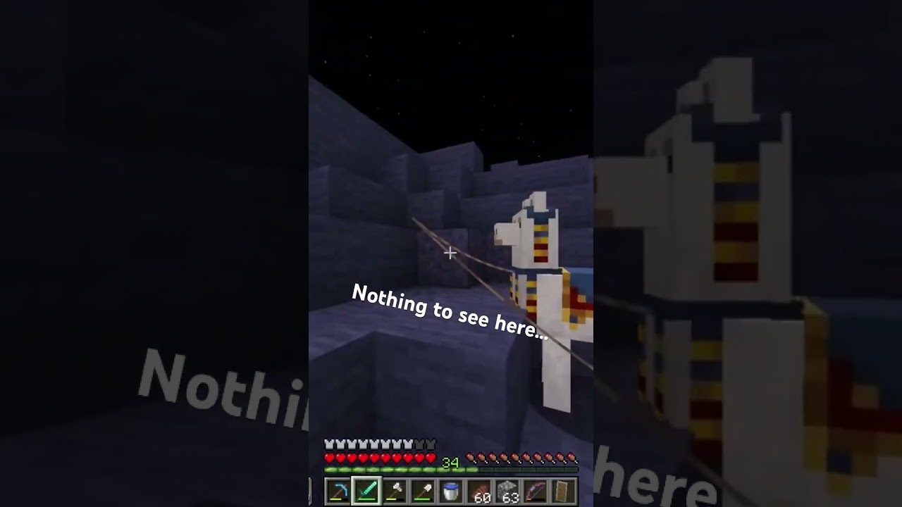 Just killing another wandering trader #minecraft #gaming #survival #funny #village