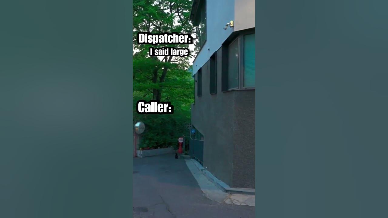 Smart Dispatcher Saves Girls Life! Smart Dispatcher Saves Girls Life!