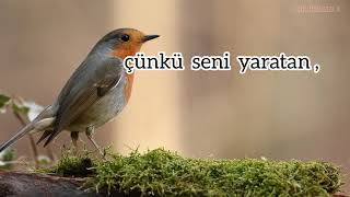 Rabbim Biz Kullarını Bağışla Affet