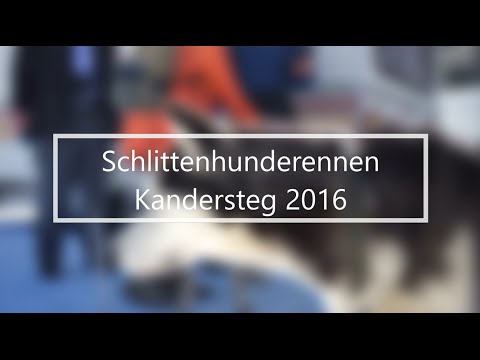 🐺 Schlittenhunderennen Kandersteg 2016