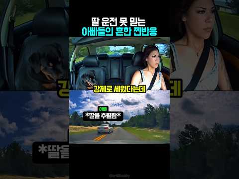 갑자기 차를 세운 아빠.. 그가 원한 건? thumbnail