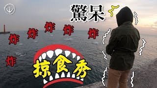 大場面沒見過炸這麼狂洄游魚種大雜燴茫茫大海遍地開花連銅盤都來湊熱鬧 #jigging #釣魚 #路亞